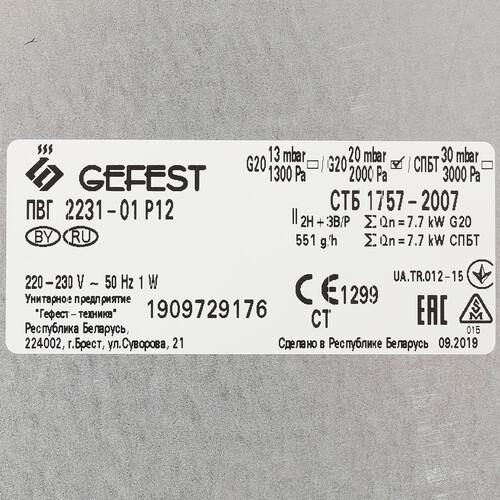 Газовая варочная поверхность Gefest ПВГ 2231-01 Р12