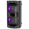 Портативная колонка DEFENDER Rage (65109)