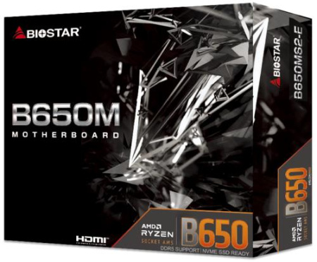 Материнская плата Biostar B650MS2-E
