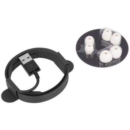 Наушники TWS Beats Powerbeats Pro бежевый