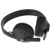 Беспроводные наушники Sennheiser HD 250 BT черный
