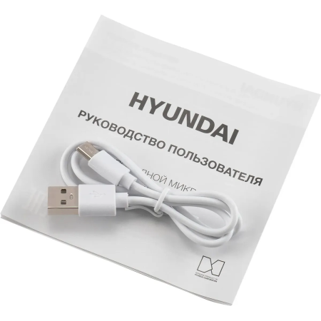 Микрофон беспроводной Hyundai H-MIC101 черный
